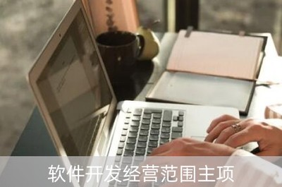 軟件開發(fā)經(jīng)營(yíng)范圍主項(xiàng)概覽 聚焦互聯(lián)網(wǎng)軟硬件開發(fā)與銷售